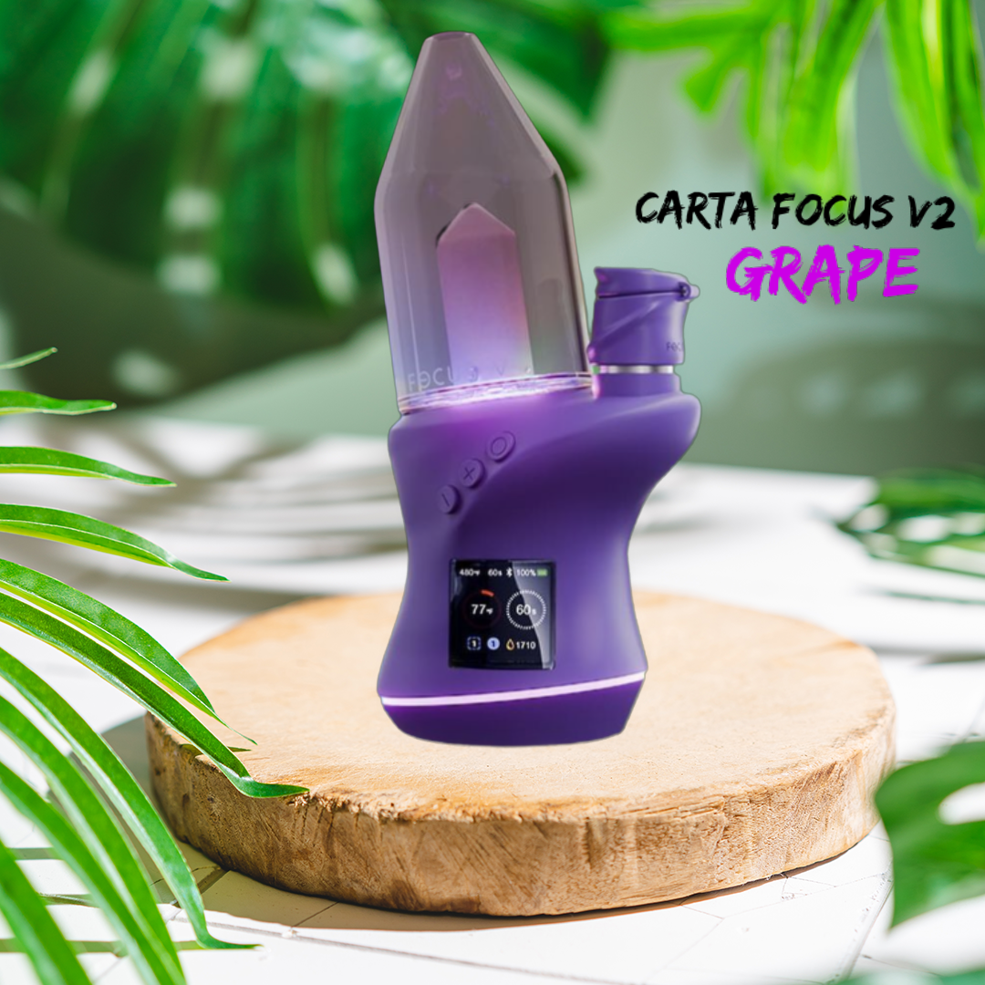 Carta 2 by Focus V